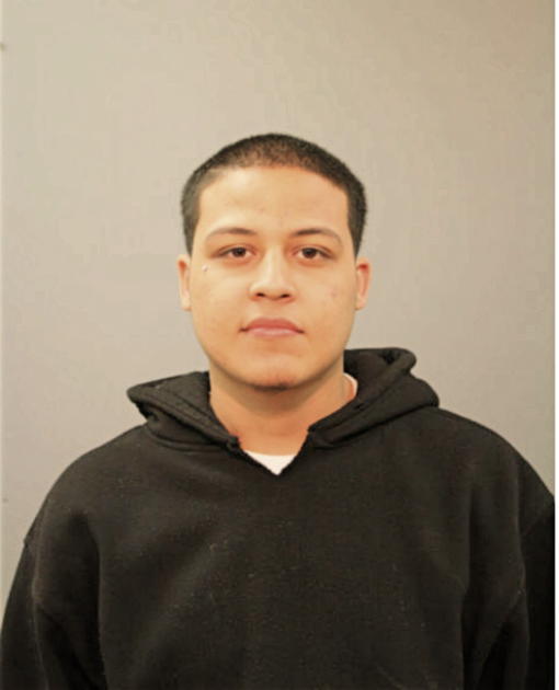DAVID MARTINEZ, Cook County, Illinois