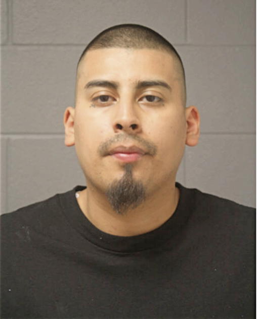ALEJANDRO MENDOZA, Cook County, Illinois