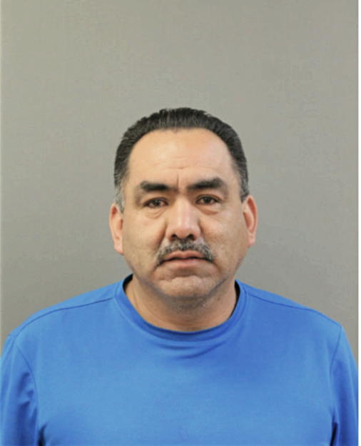 LUIS MENDOZA, Cook County, Illinois