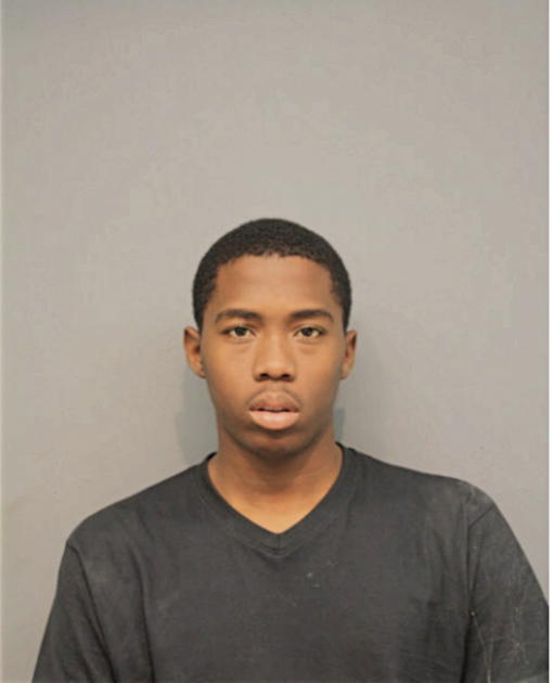 JALEN E MINOR, Cook County, Illinois