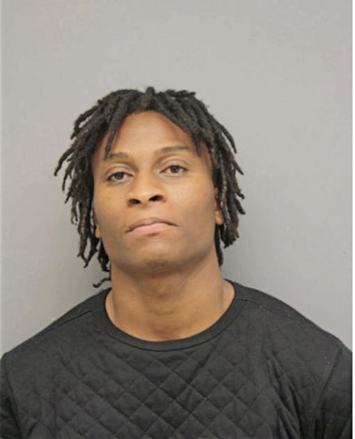 DAOLAPO M OYIBO, Cook County, Illinois