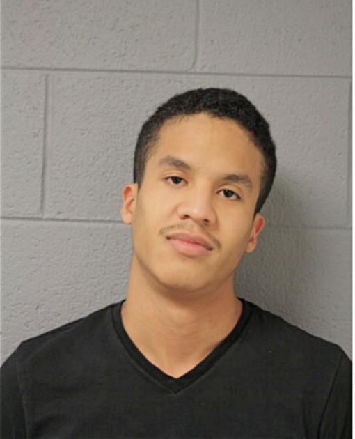 MICHAEL A RAYA, Cook County, Illinois