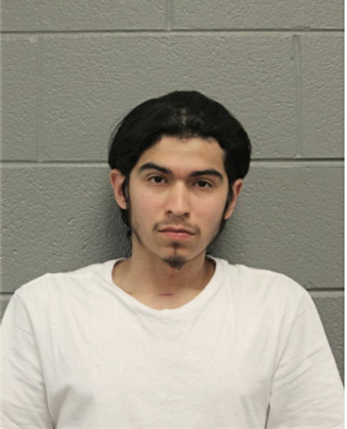 DAVID RIVERA, Cook County, Illinois