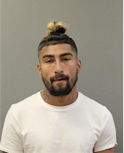 ARMANDO TELLO, Cook County, Illinois
