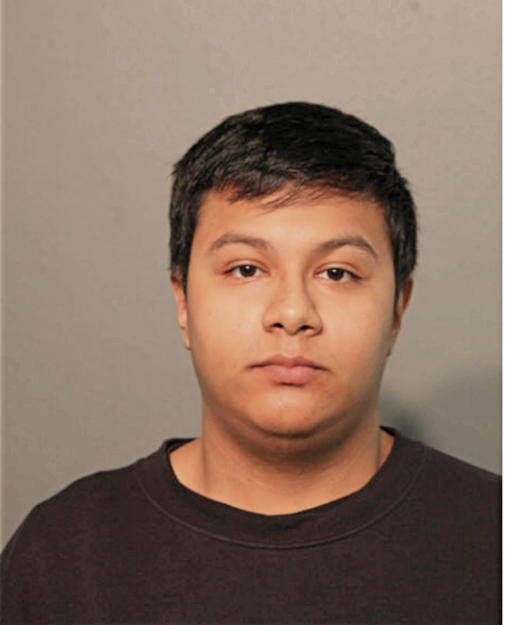 CHRISTIAN S TORRES, Cook County, Illinois
