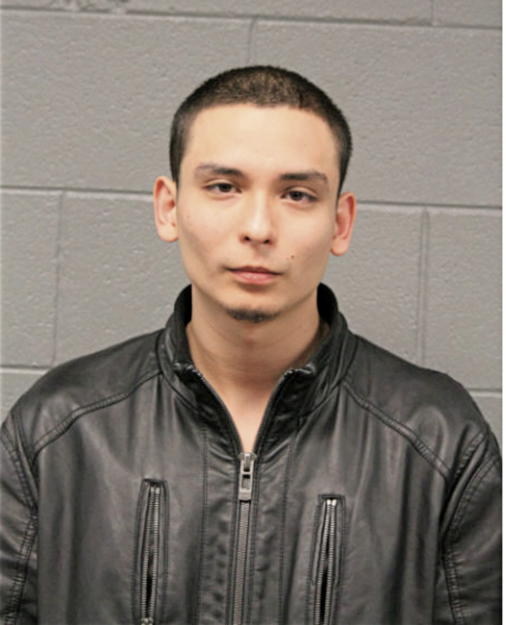 YAEL A TORRES, Cook County, Illinois