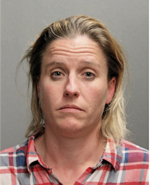 STACEY ANN TOWLE, Cook County, Illinois