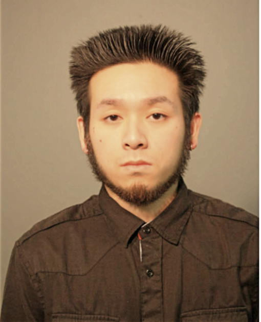 VINCENT H TRAN, Cook County, Illinois