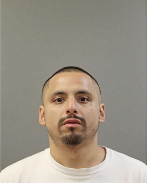 FRANCISCO JAVIER VEGA, Cook County, Illinois