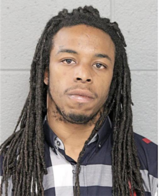 LANELLE T WHITE, Cook County, Illinois