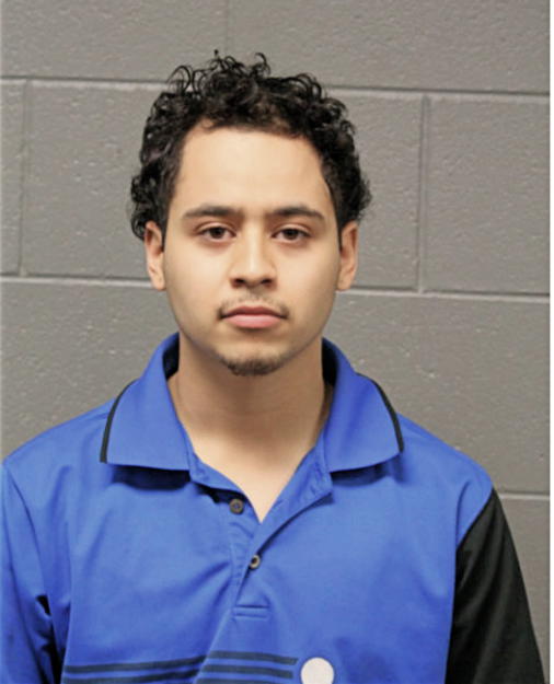 DANIEL F ALVARADO, Cook County, Illinois