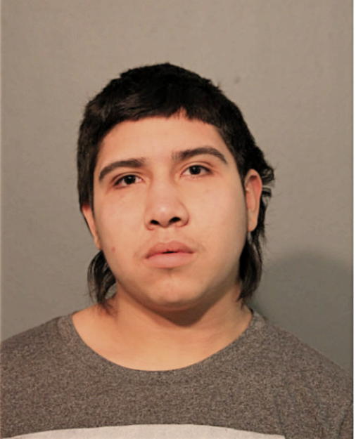 AGUSTIN BAHENA, Cook County, Illinois