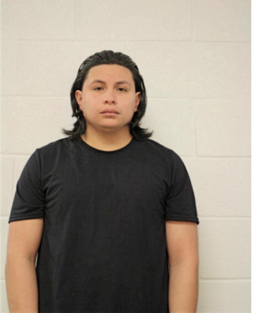 CARLOS BAUISTA, Cook County, Illinois