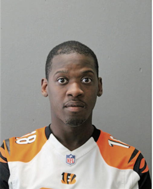 PAUL BRIDGES, Cook County, Illinois