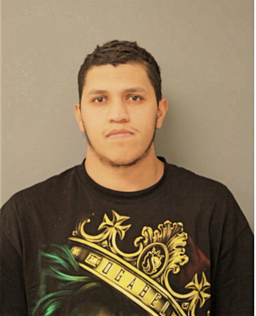 MIGUEL A BRISENO, Cook County, Illinois