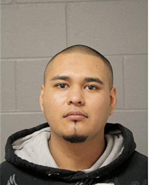 LEOBARDO CASTRO, Cook County, Illinois