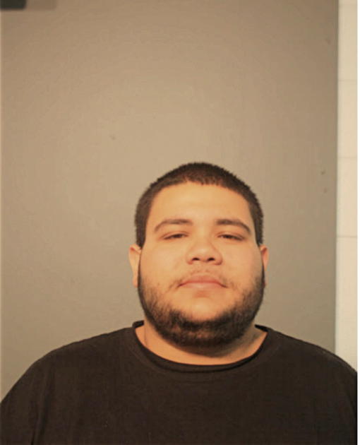 ANGEL M FERNANDEZ JR, Cook County, Illinois