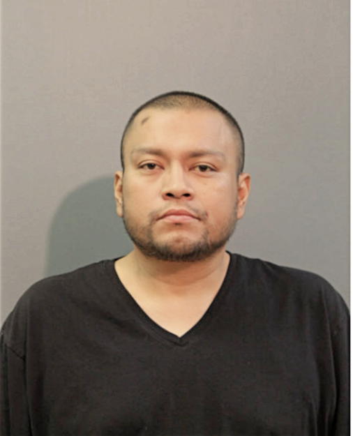 CARLOS D FLORES, Cook County, Illinois