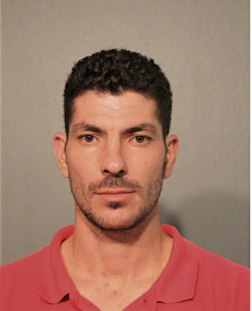 THEODOROS K GESOULIS, Cook County, Illinois