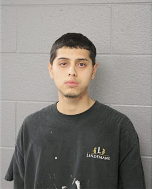 JULIO S GUZMAN, Cook County, Illinois