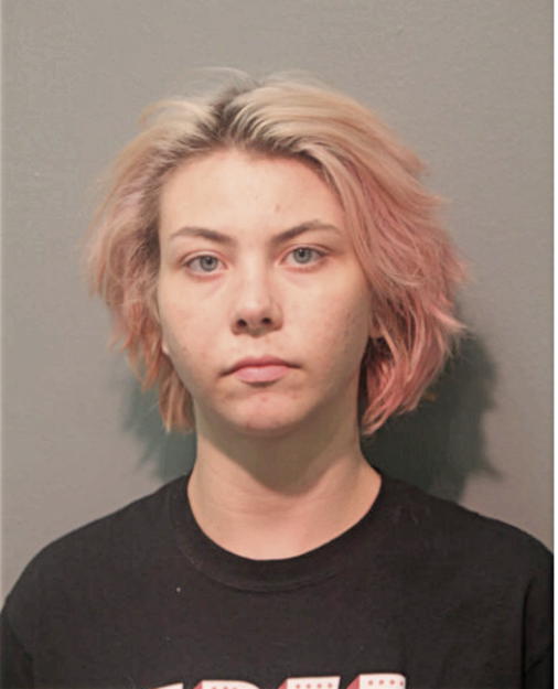 EMILY C HALM, Cook County, Illinois