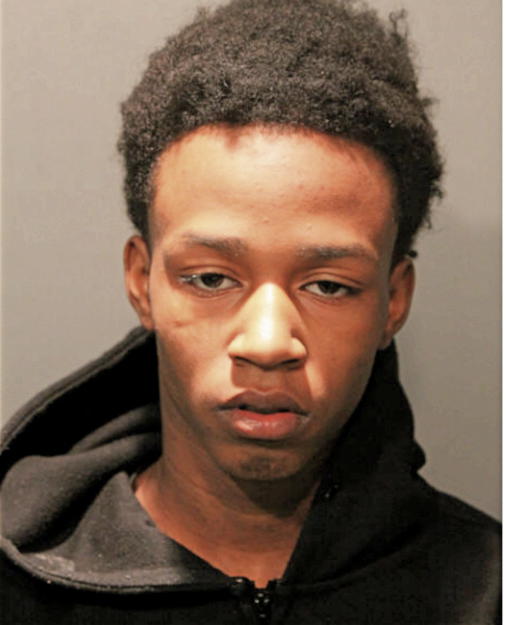 TOYRION T HODGES, Cook County, Illinois