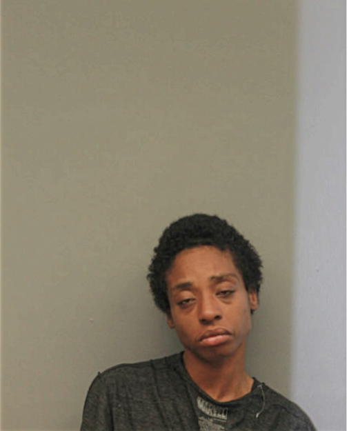 BRENDA L JOHNSON, Cook County, Illinois