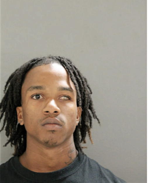 GABRIEL E JOHNSON, Cook County, Illinois