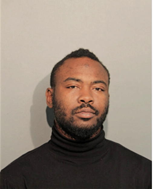 TIMOTHY L JOHNSON, Cook County, Illinois