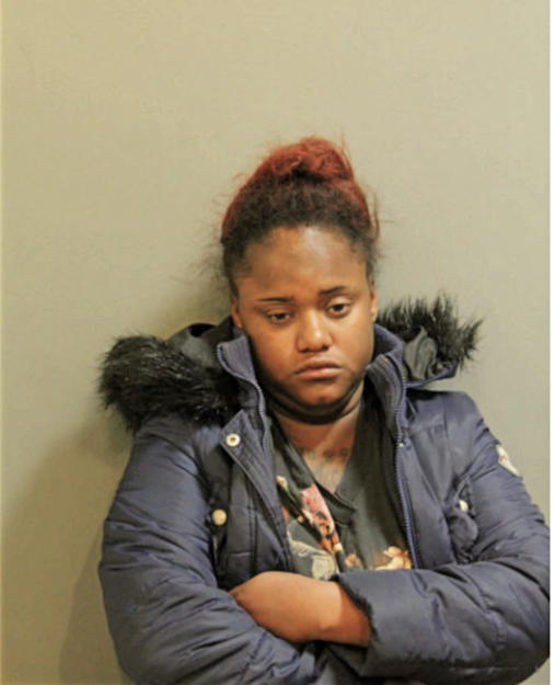 ELIZABETH N LACY, Cook County, Illinois