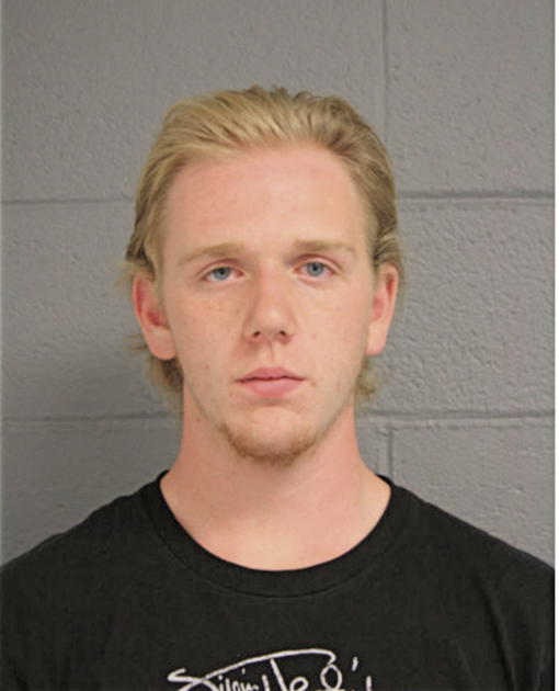 JORDAN S LEAVITT, Cook County, Illinois