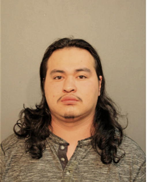 MIGUEL OCEGUERA, Cook County, Illinois