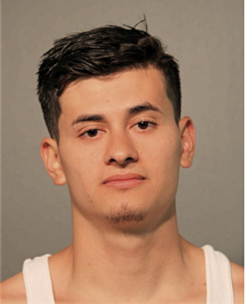 NESTOR A RAMIREZ, Cook County, Illinois