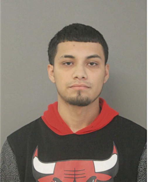 EDUARDO TORAL, Cook County, Illinois