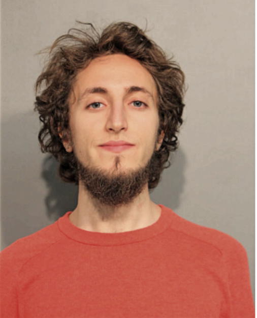 DIMITRIJEVIC VELJKO, Cook County, Illinois