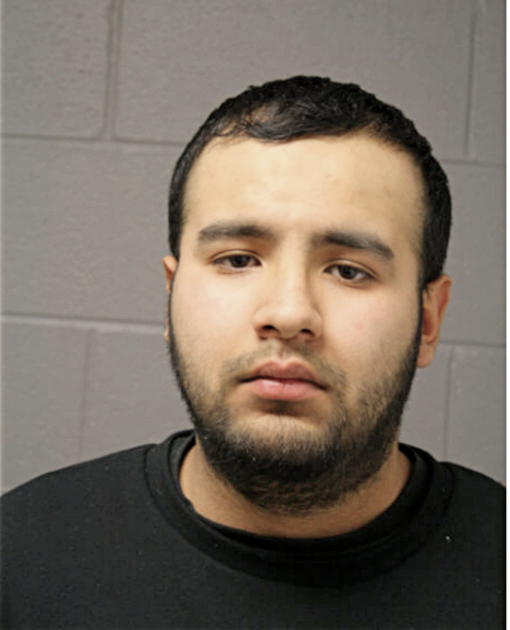 MIGUEL VILLAGOMEZ-VEGA, Cook County, Illinois