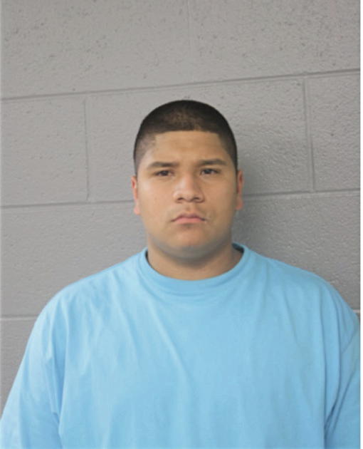 SAMUEL ALVARADO, Cook County, Illinois