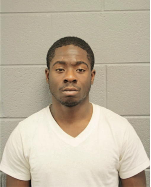 MICHAEL M AUSTIN, Cook County, Illinois
