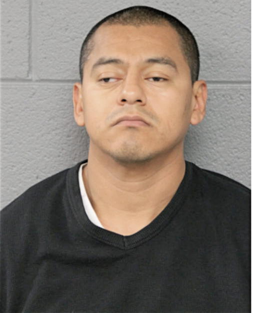 FREDDY AYALA, Cook County, Illinois