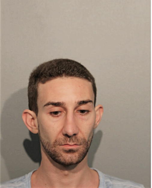 DIMITAR S BOYADZHIEZ, Cook County, Illinois