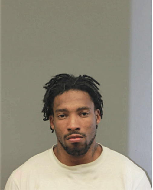 ROBERT L BRAY, Cook County, Illinois
