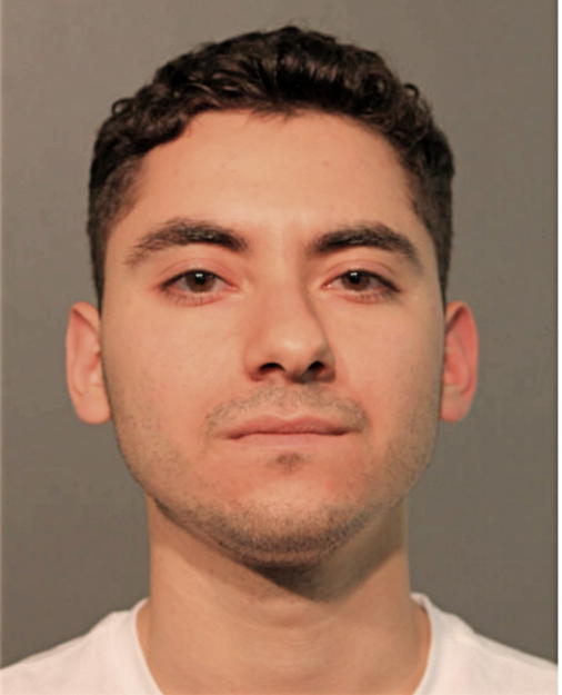 ALEJANDRO AVINA DEL TORO, Cook County, Illinois