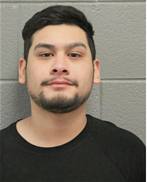 ENRIQUE DELGADO, Cook County, Illinois