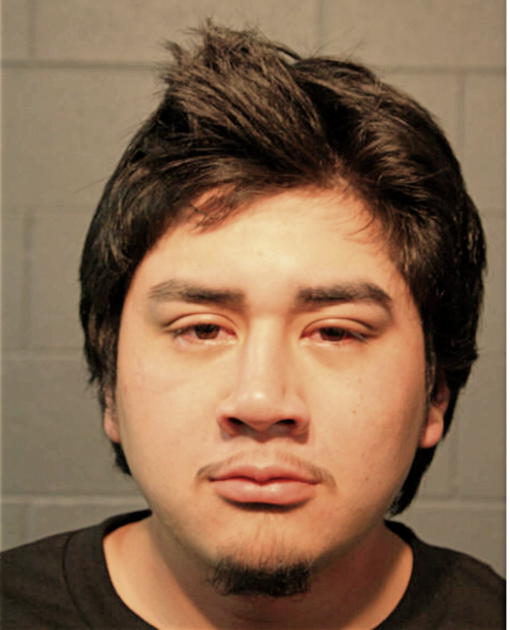 SOLANO ELISIO, Cook County, Illinois