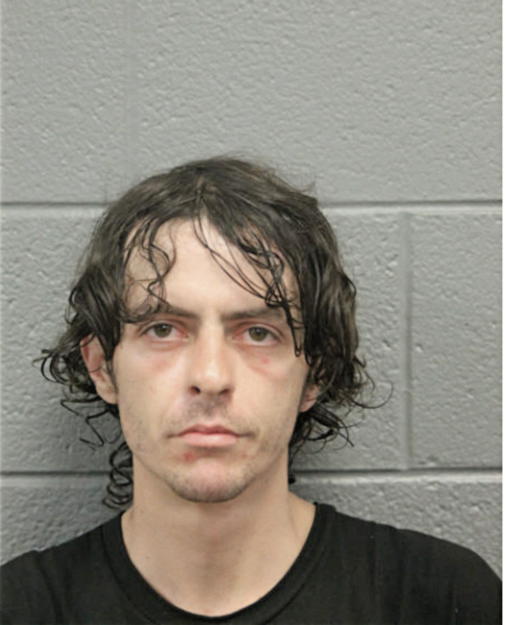 STEVEN B FILIPPIN, Cook County, Illinois