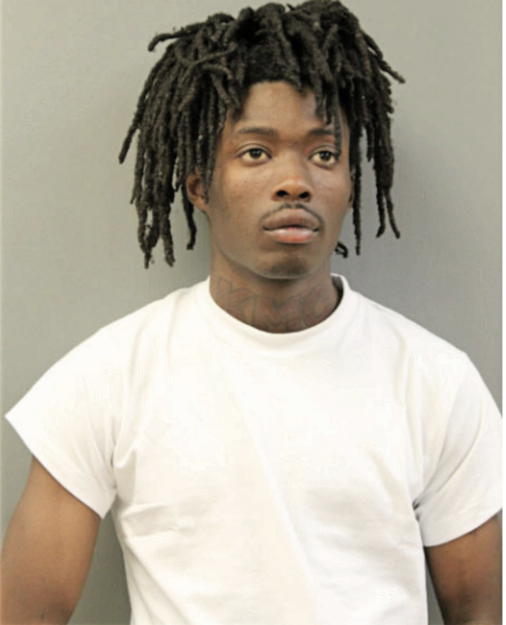 TREVION FLUCKES, Cook County, Illinois