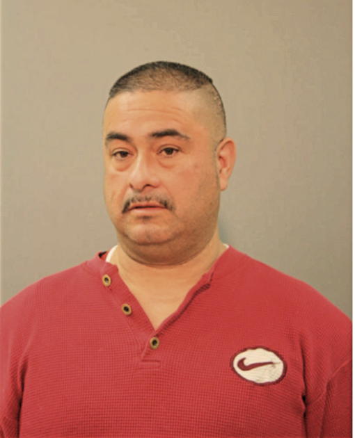 SILVESTRE GARCIA, Cook County, Illinois