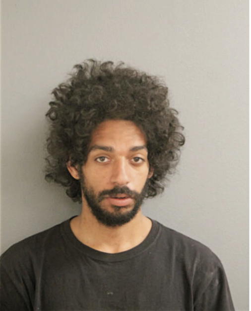 ANDREW D HALL, Cook County, Illinois