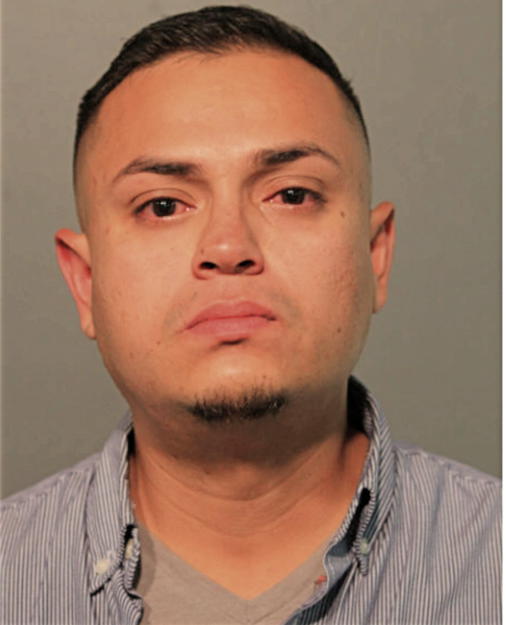 DIEGO W HERNANDEZ, Cook County, Illinois