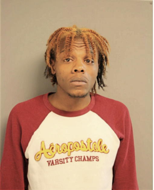 FAYMOND D JOHNSON, Cook County, Illinois